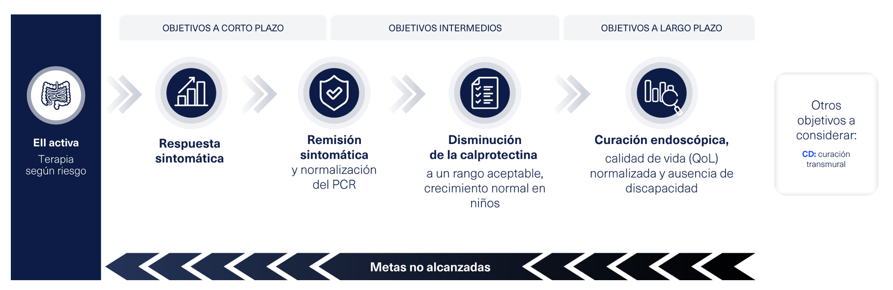 EC_curacion EC_curacion